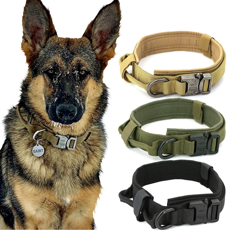 Dog Collar product image