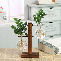 Hydroponic Transparent Plant Vases product image